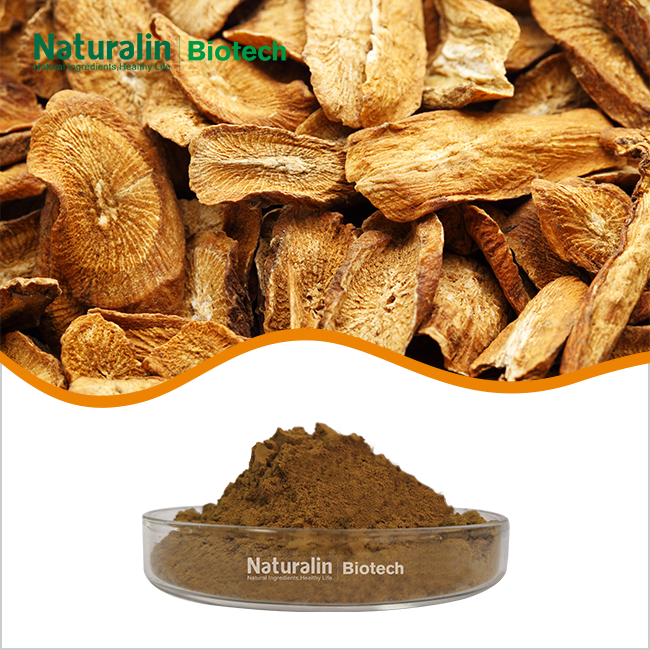 Burdock Root Extract Powder Burdock Root Extract Powder